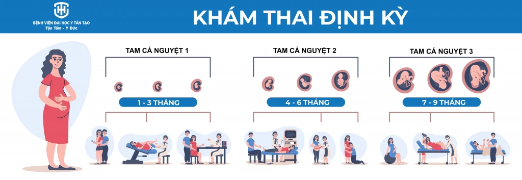 Mốc khám và mục đích so sánh lịch thai giữa ba tam cá nguyệt