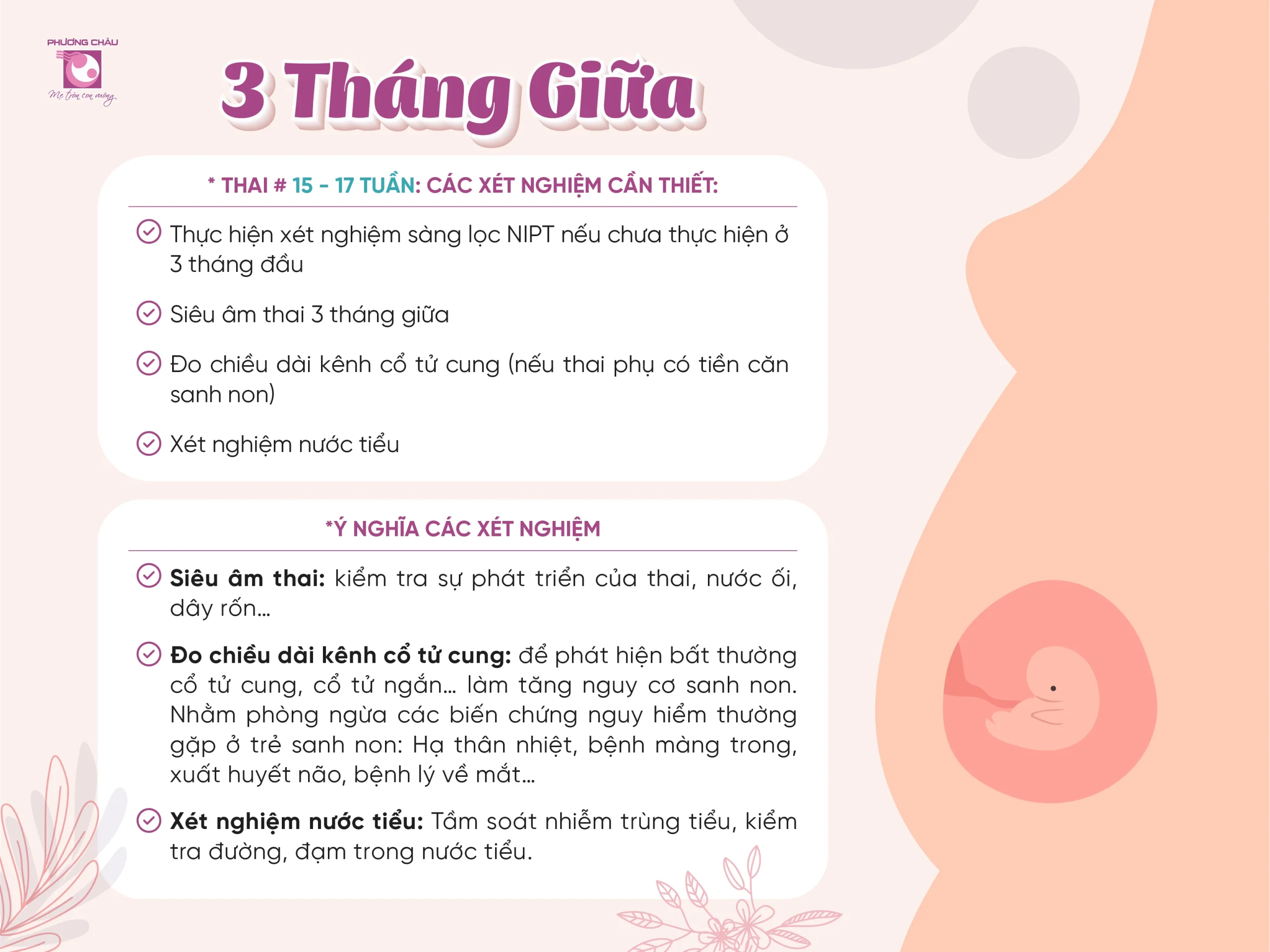 So sánh giữa khám thai định kỳ và tự phát những lợi ích không ngờ của việc