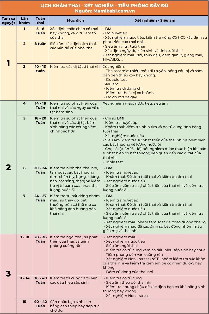 Ý nghĩa của các kết quả xét nghiệm so sánh lịch khám thai giữa ba tam cá nguyệt