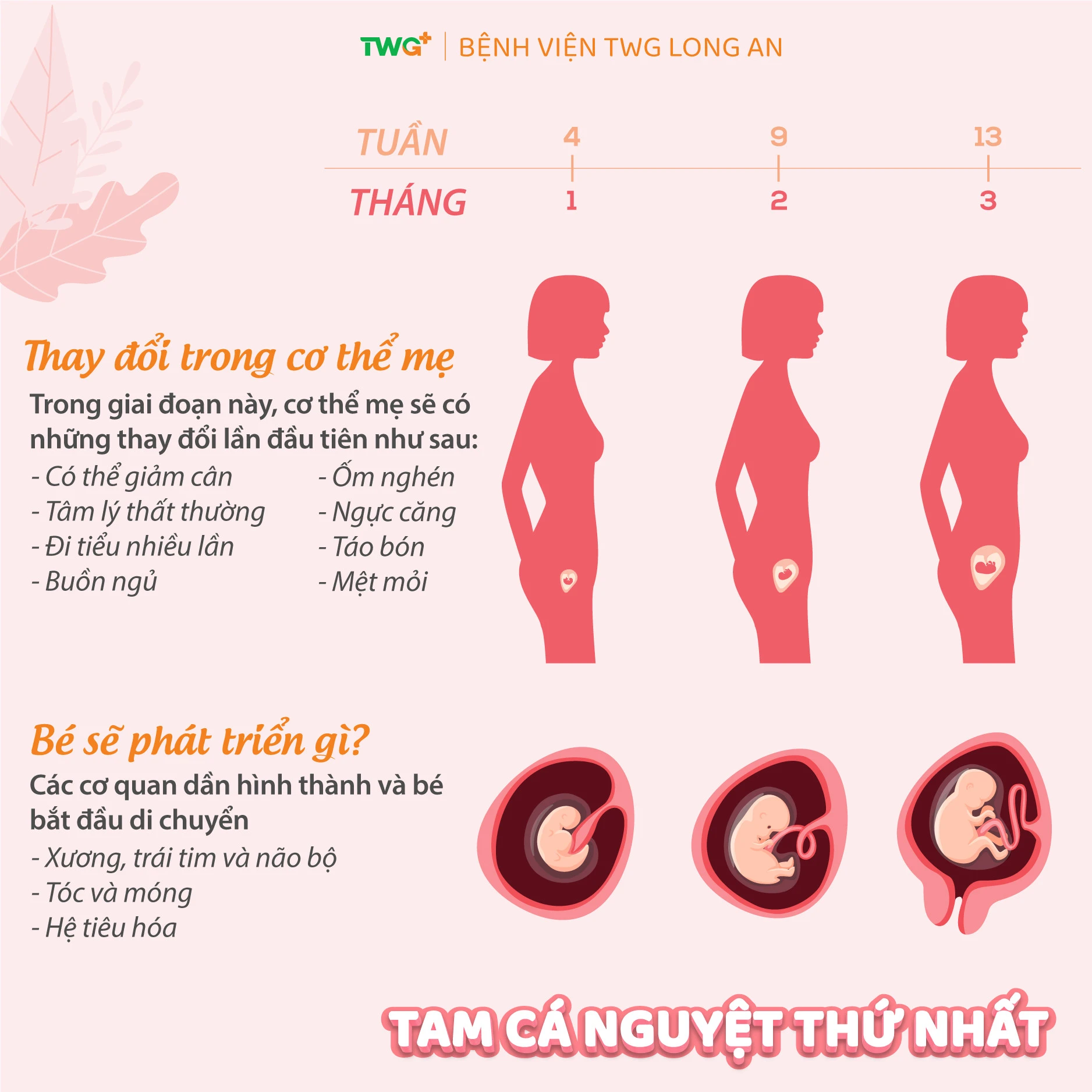 So sánh tần suất khám giữa các tam cá nguyệt lịch thai ba