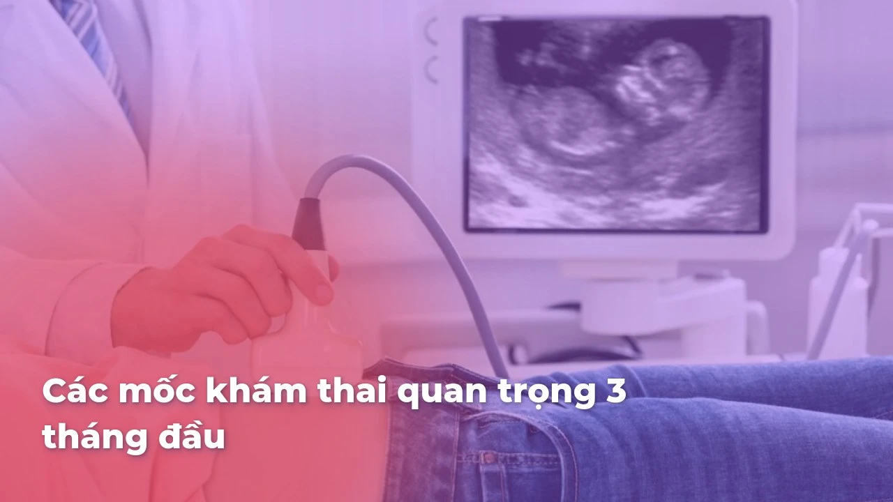 Các mốc khám thai quan trọng 3 tháng đầu