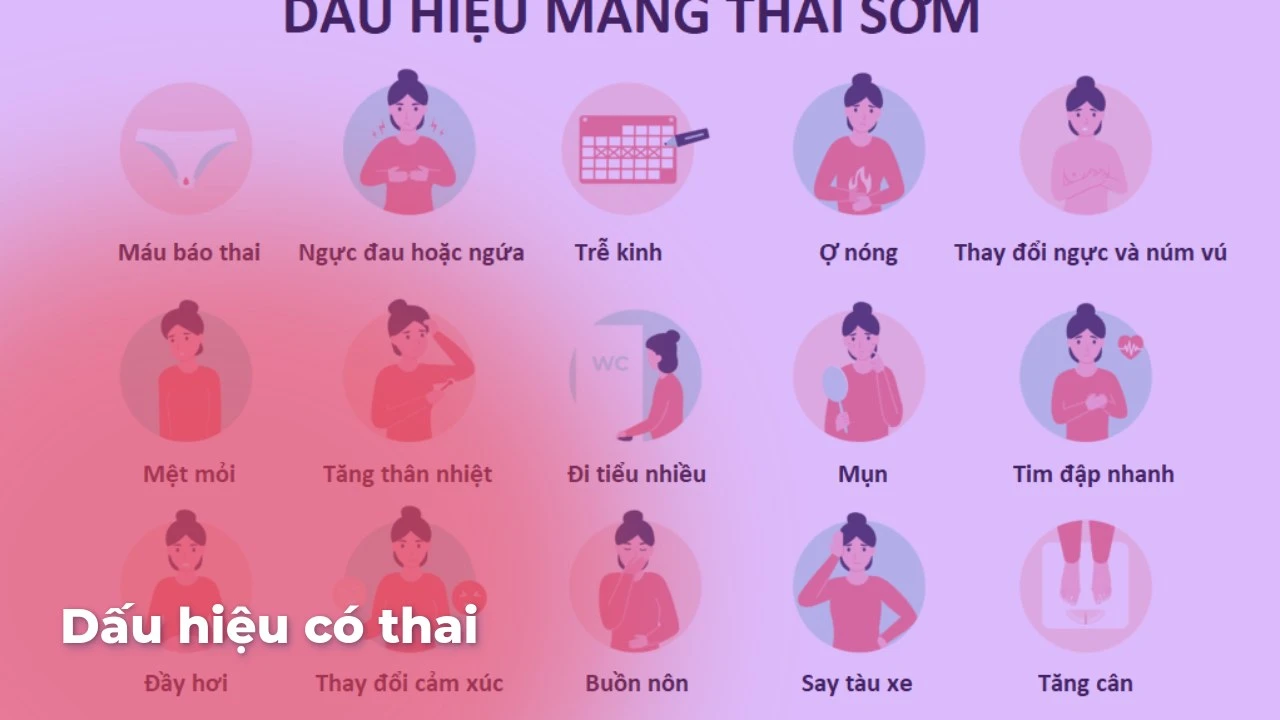 Dấu hiệu có thai