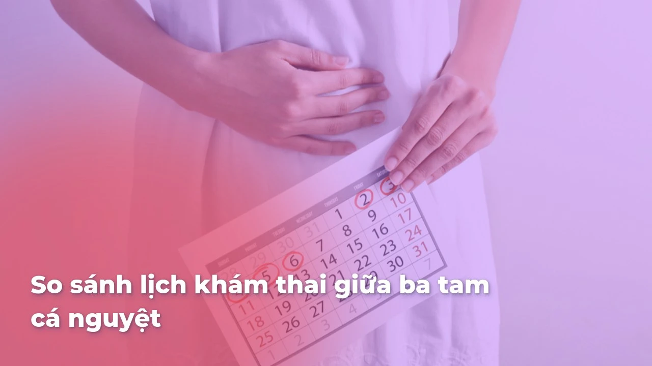 So sánh lịch khám thai giữa ba tam cá nguyệt chi tiết nhất
