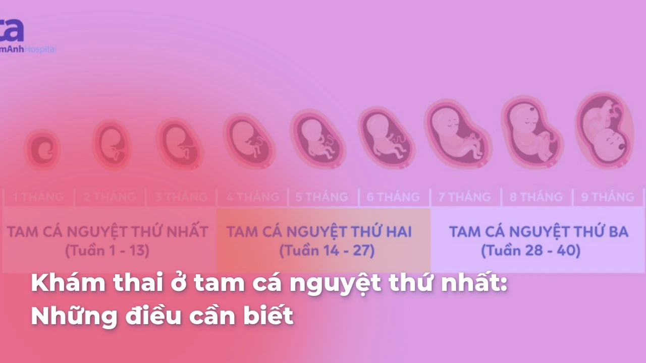 Khám thai ở tam cá nguyệt thứ nhất: Tại sao cần thiết và hướng dẫn chi tiết