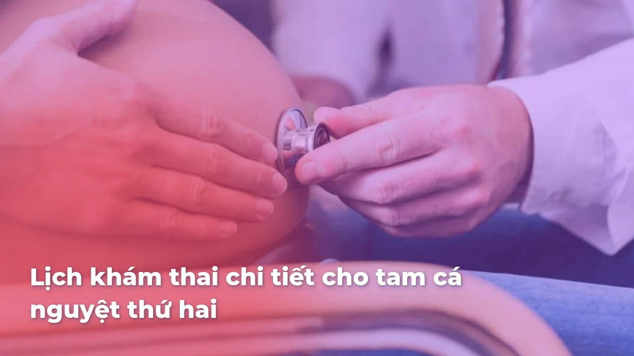 Lịch Khám Thai Tam Cá Nguyệt Thứ Hai: Mốc Thời Gian & Xét Nghiệm