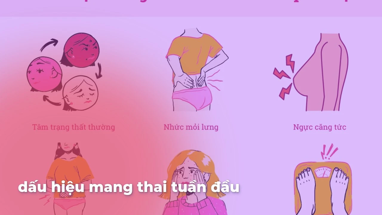 Dấu hiệu mang thai tuần đầu: nhận biết và phân biệt chính xác