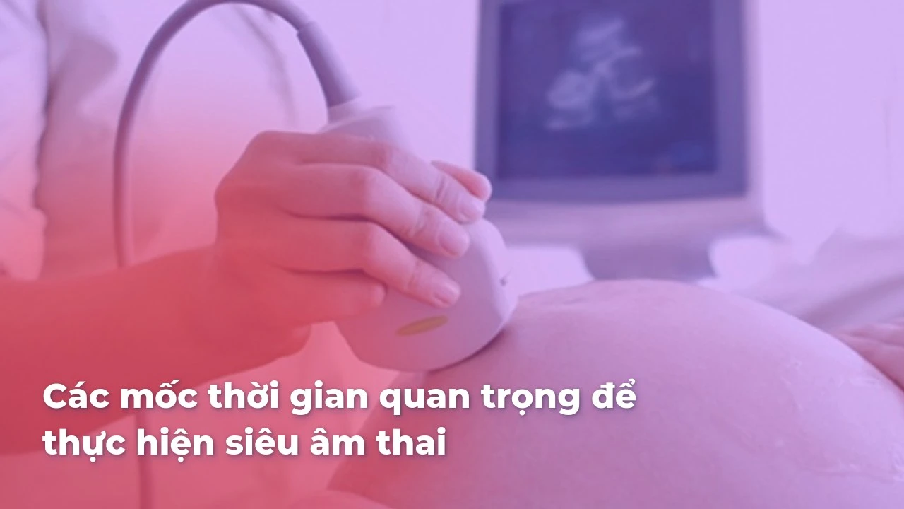 Các mốc thời gian quan trọng để siêu âm thai trong thai kỳ