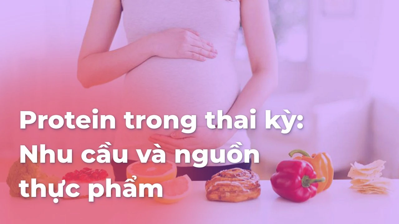 Protein trong thai kỳ: Nhu cầu và nguồn thực phẩm cần biết