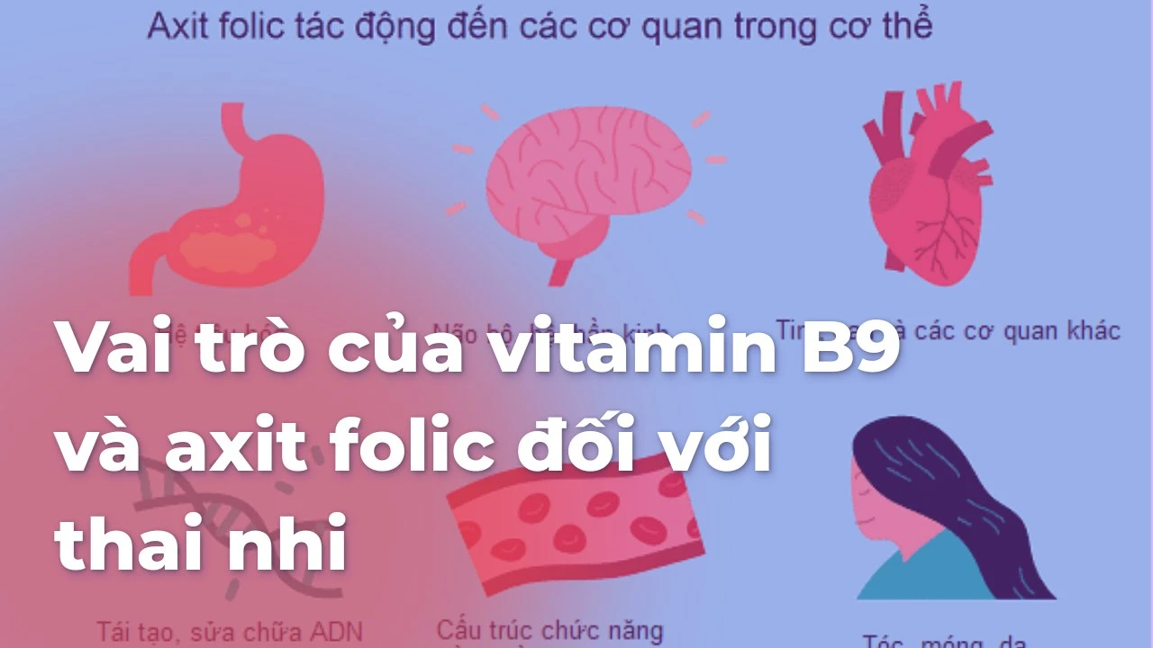Vai trò của vitamin B9 và axit folic đối với thai nhi