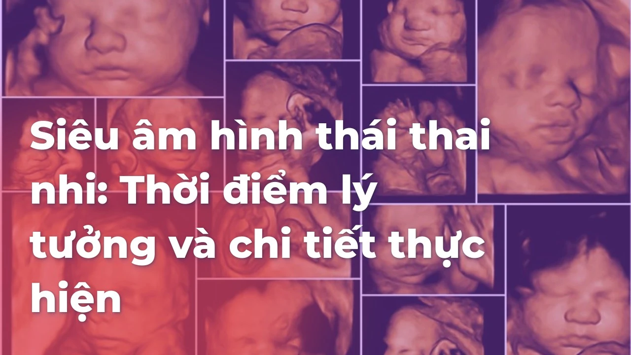 Siêu âm hình thái thai nhi: khi nào nên thực hiện?