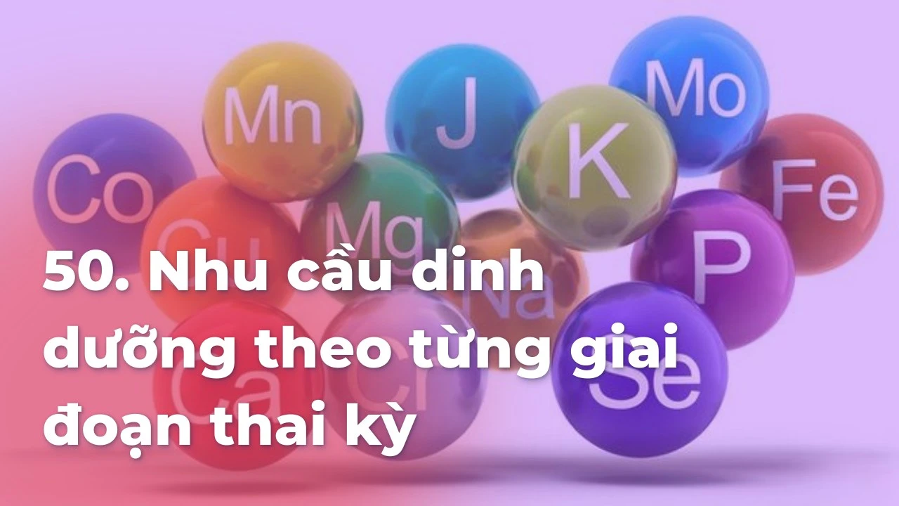 Nhu cầu dinh dưỡng theo từng giai đoạn thai kỳ – Hướng dẫn chi tiết cho mẹ bầu